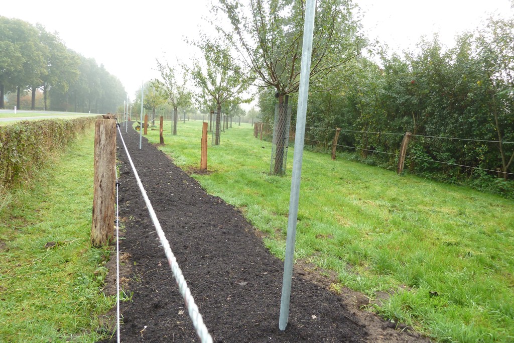 Fruithaag aanleggen; Plaatsen afrasteringspalen